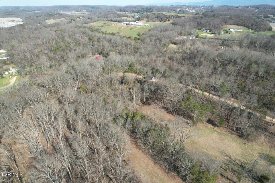 Photo #34: Tbd Peppermint Lane