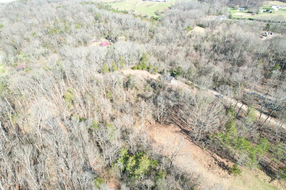 Photo #35: Tbd Peppermint Lane