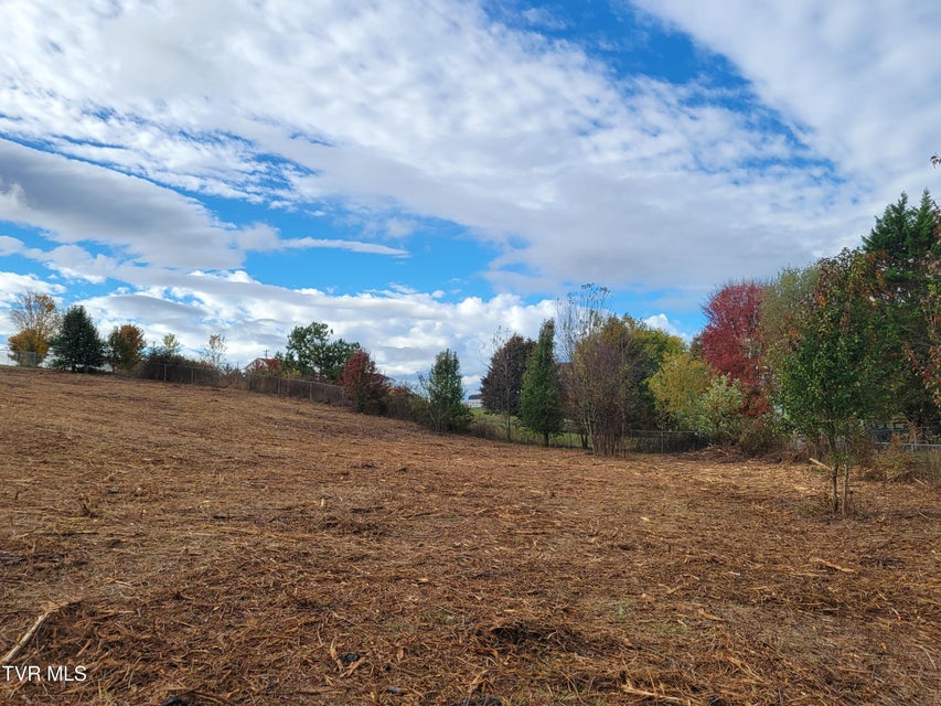 Photo #6: 1212 Bowmantown Road