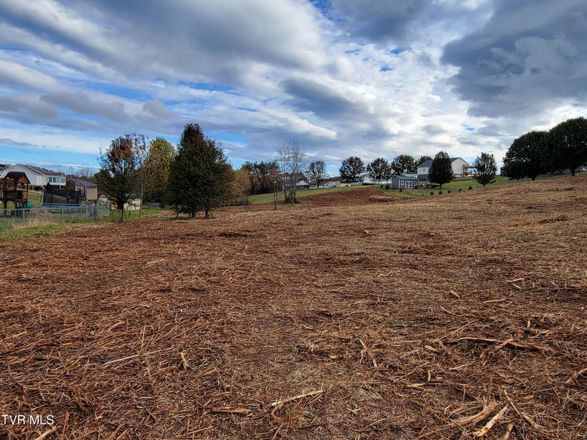 Photo #10: 1212 Bowmantown Road