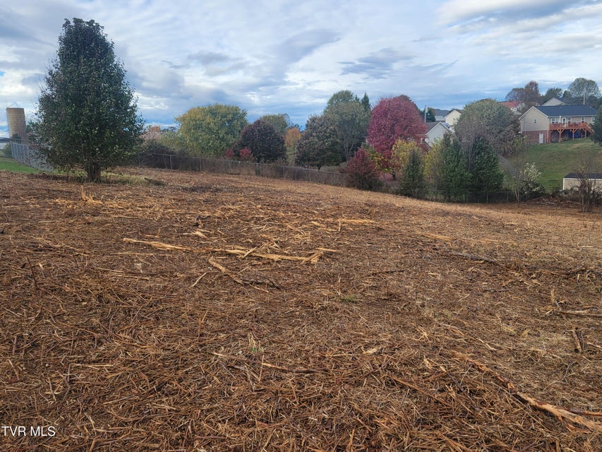 Photo #5: 1216 Bowmantown Road