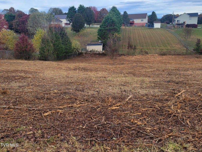 Photo #6: 1216 Bowmantown Road