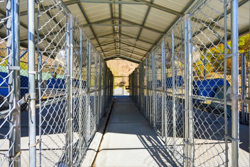 Photo #82: 1505 Williams Hollow Road