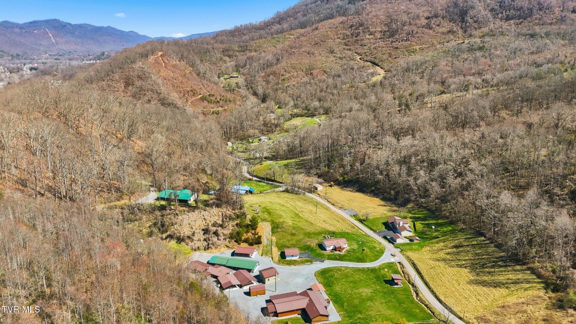 Photo #86: 1505 Williams Hollow Road