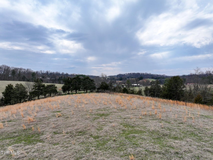 Photo #9: 34-37 Culver Road