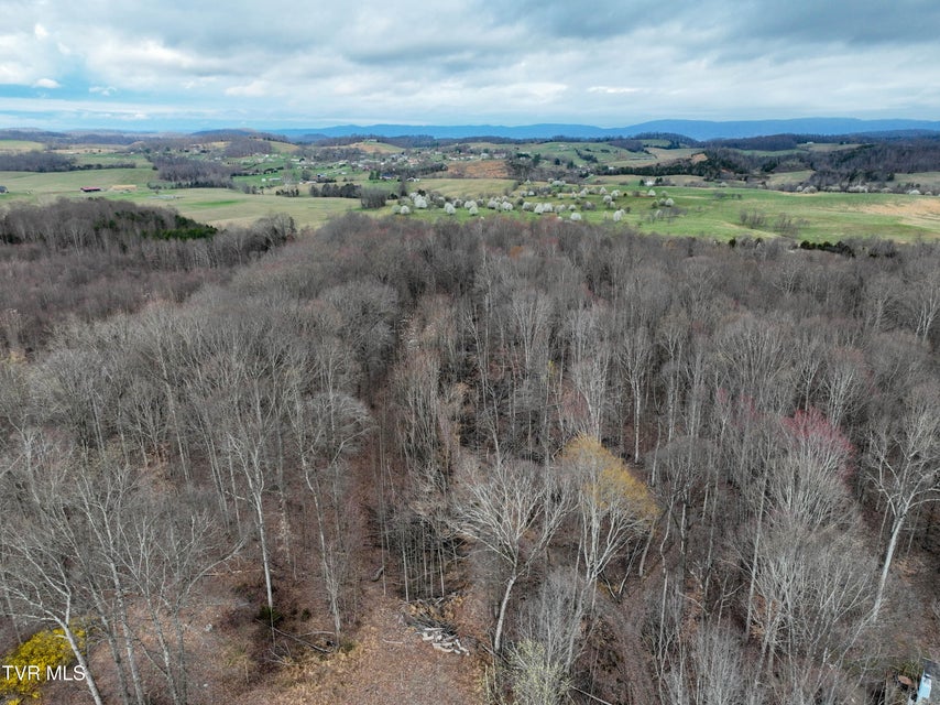 Photo #10: 955 Old Hall Road