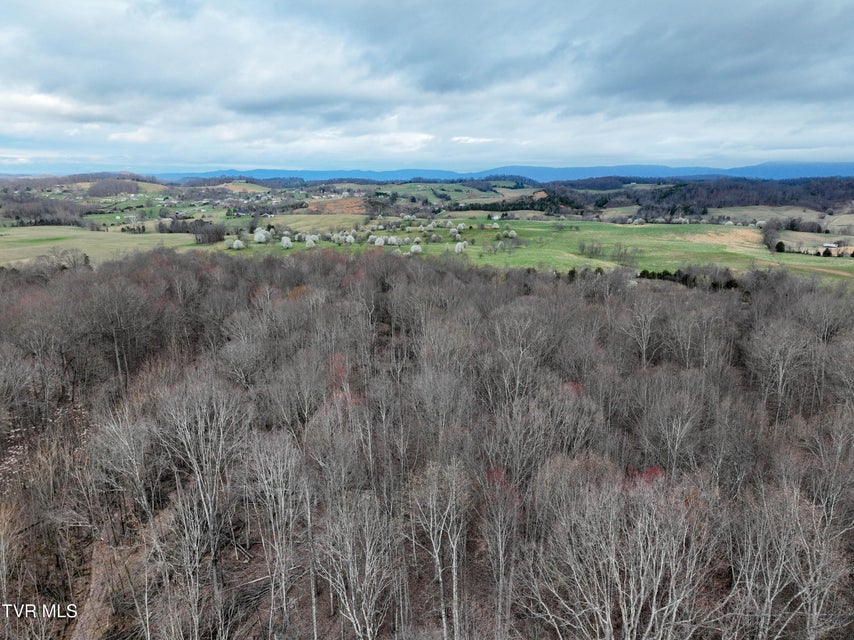 Photo #11: 955 Old Hall Road