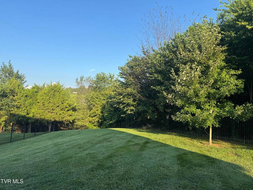 Photo #40: 1276 Savin Falls