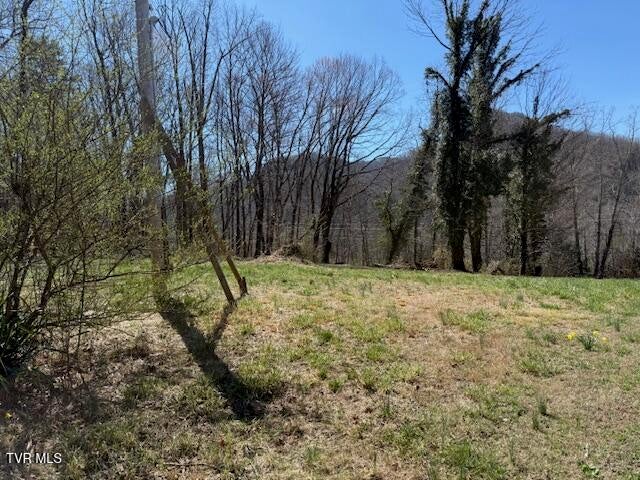 Photo #4: 133 Haines Road