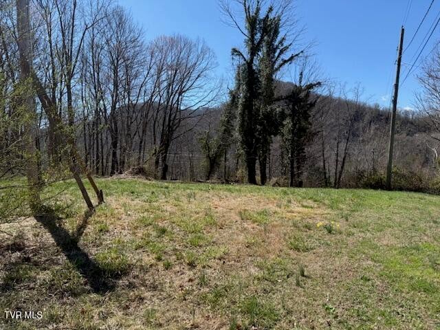 Photo #5: 133 Haines Road