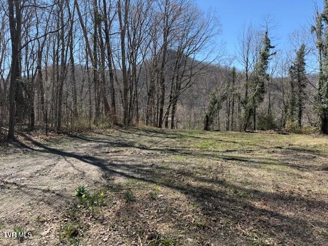 Photo #6: 133 Haines Road