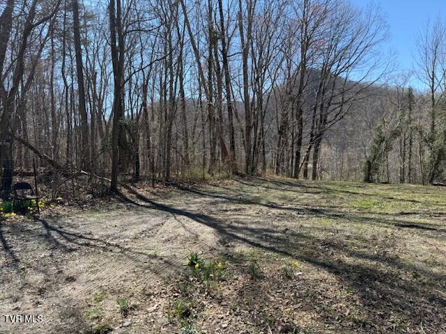 Photo #7: 133 Haines Road