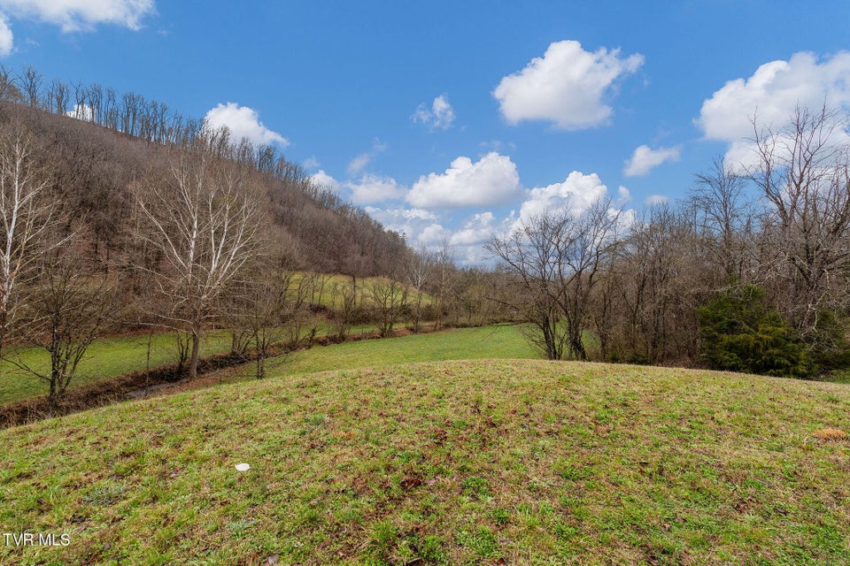 Photo #34: Tbd Piney Flats Road