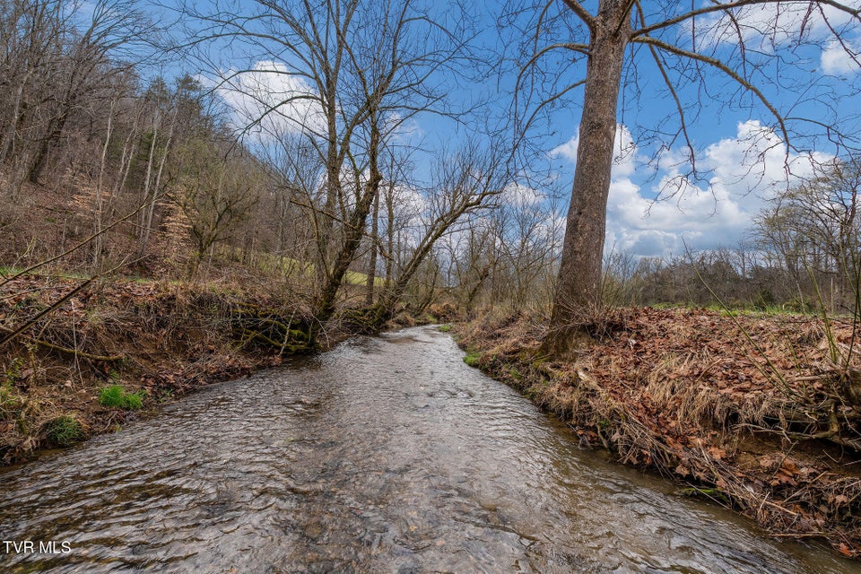 Photo #18: Tbd Piney Flats Road