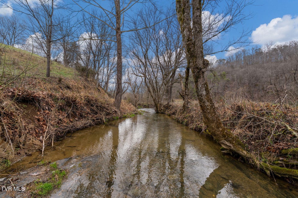 Photo #19: Tbd Piney Flats Road