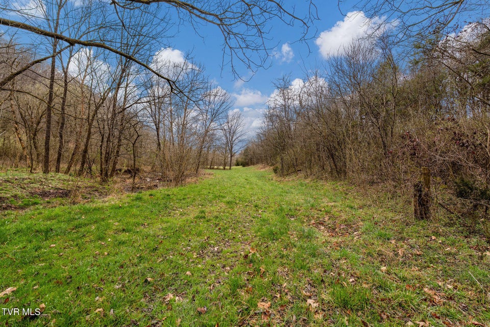 Photo #37: Tbd Piney Flats Road
