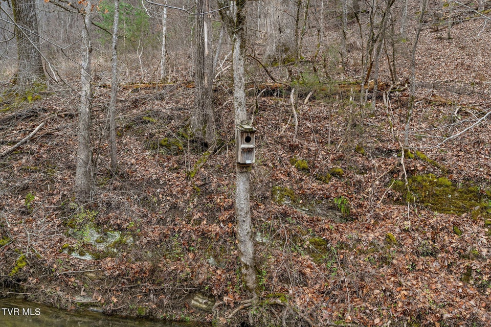 Photo #51: Tbd Piney Flats Road