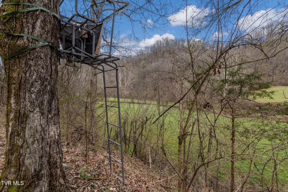 Photo #43: Tbd Piney Flats Road