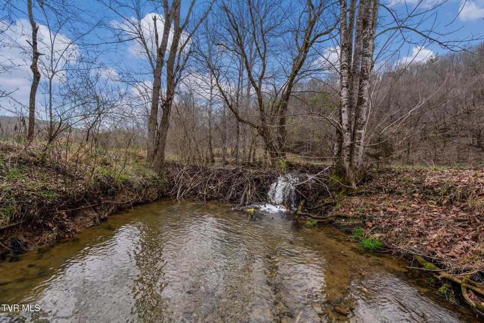Photo #22: Tbd Piney Flats Road