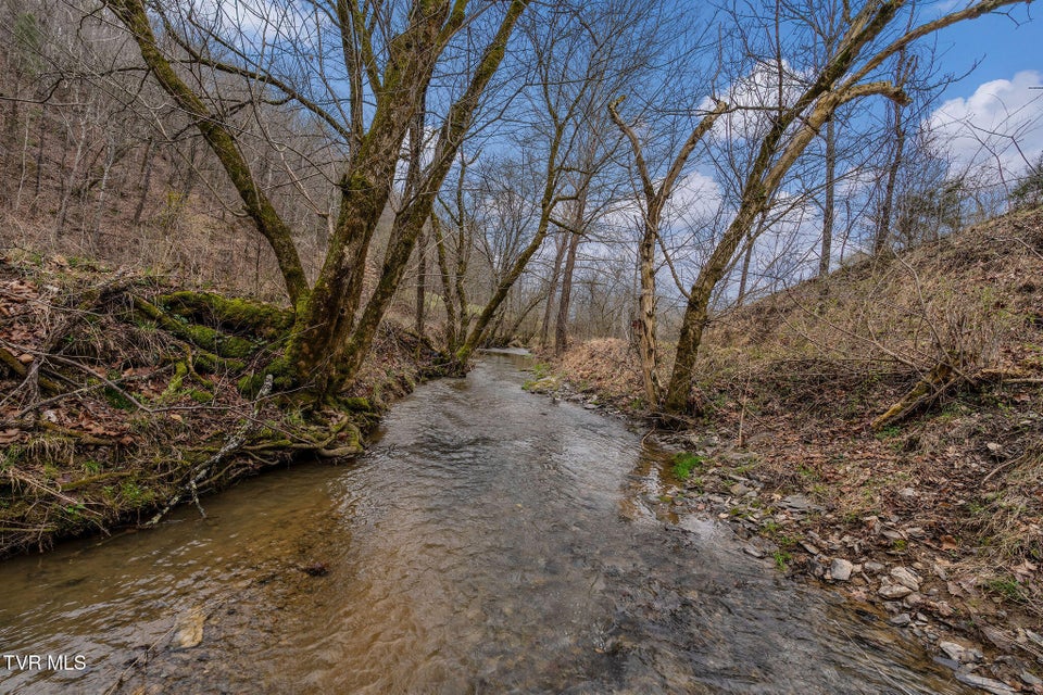 Photo #23: Tbd Piney Flats Road