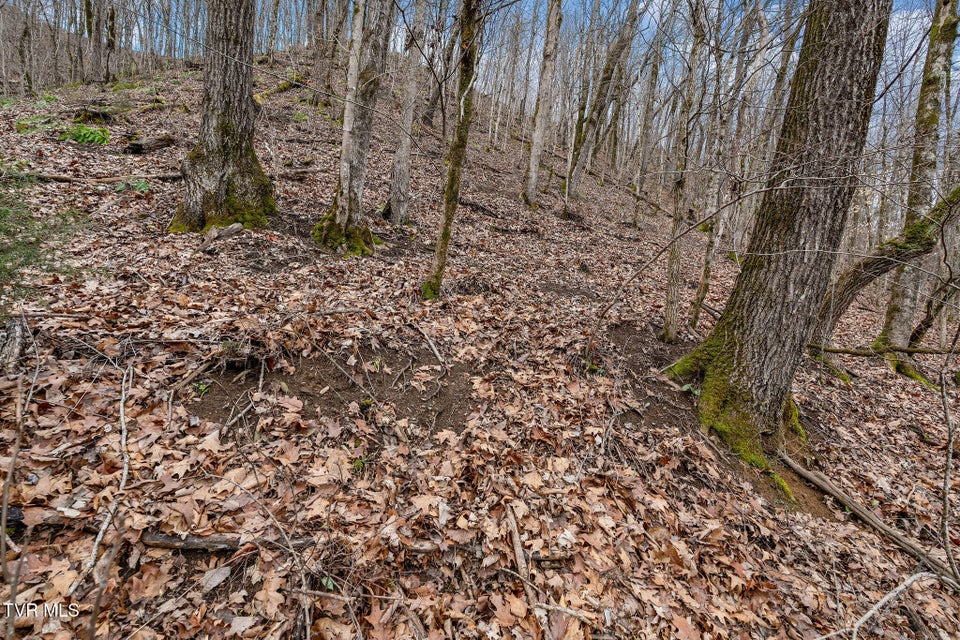 Photo #52: Tbd Piney Flats Road