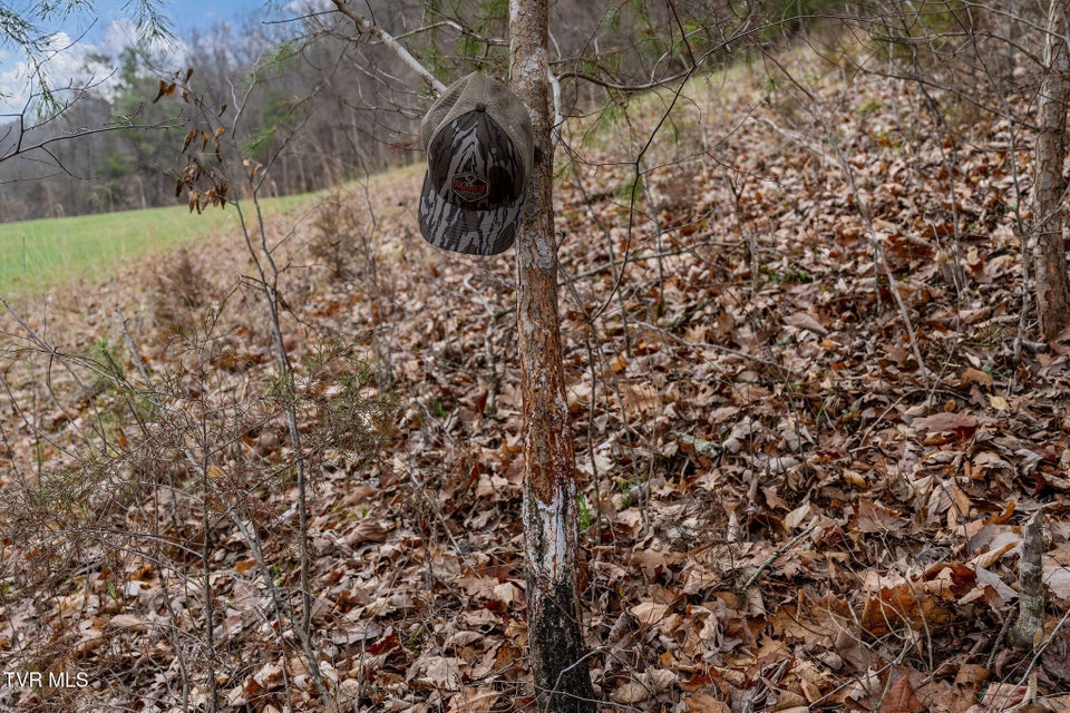 Photo #55: Tbd Piney Flats Road