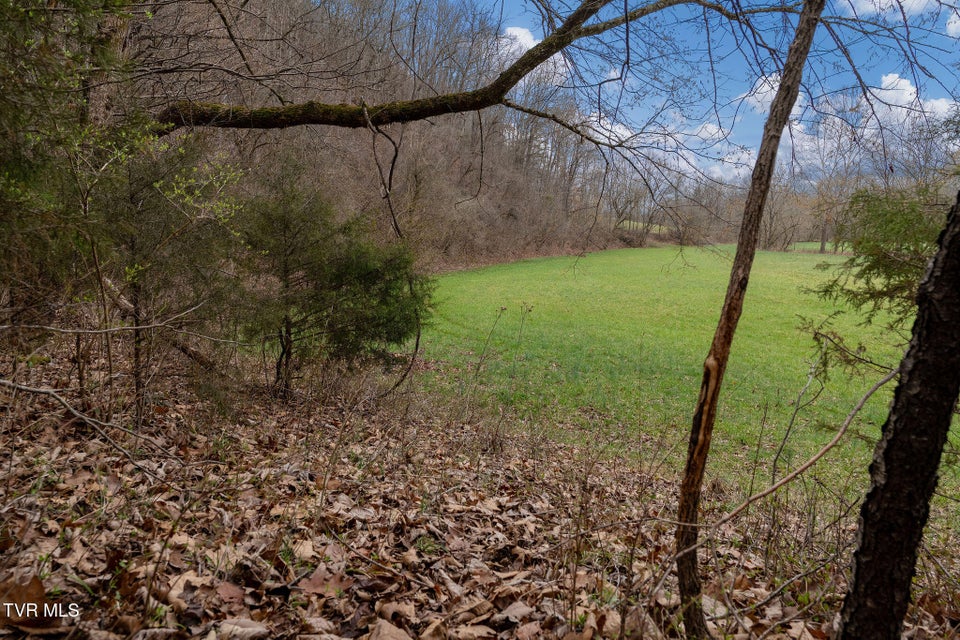 Photo #49: Tbd Piney Flats Road