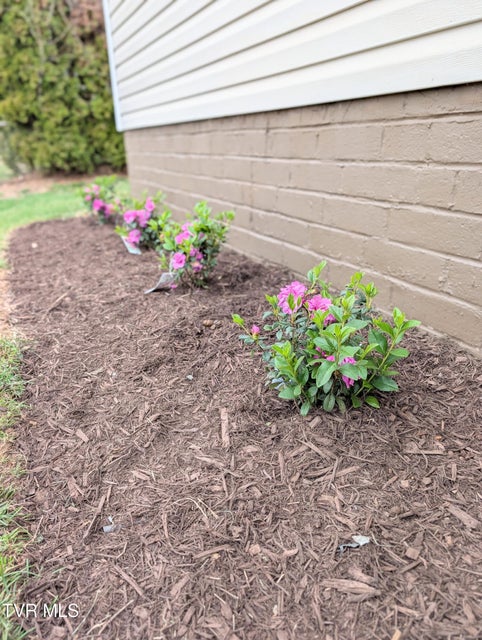 Photo #8: 1944 Greenway Street
