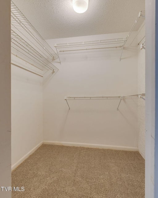 Photo #29: 111 Tree Top Lane