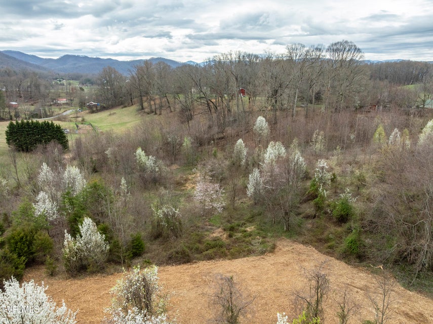 Photo #18: Tbd Ralph Hoss Road