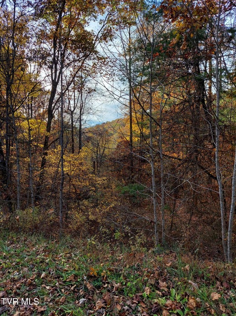 Photo #4: Lot 19 Sugar Maple Way