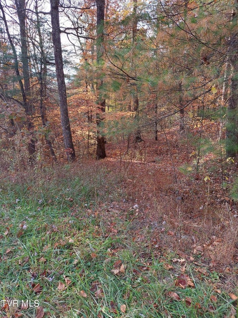 Photo #6: Lot 19 Sugar Maple Way