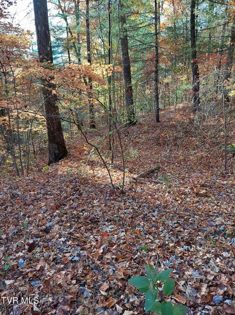 Photo #7: Lot 19 Sugar Maple Way