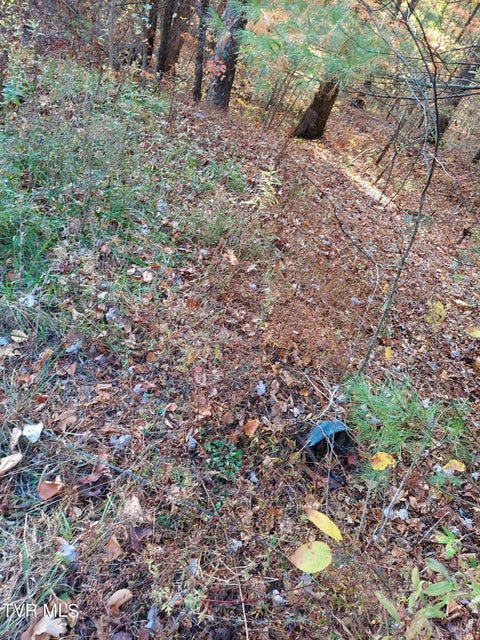 Photo #8: Lot 19 Sugar Maple Way