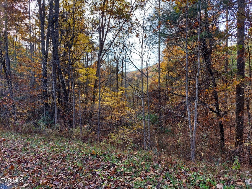 Photo #9: Lot 19 Sugar Maple Way