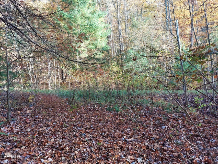 Photo #10: Lot 19 Sugar Maple Way