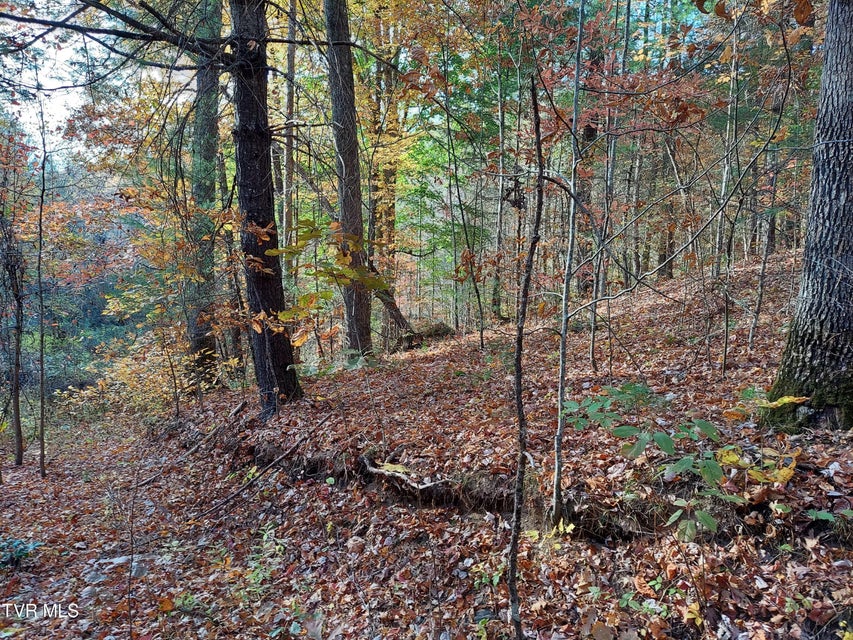 Photo #11: Lot 19 Sugar Maple Way