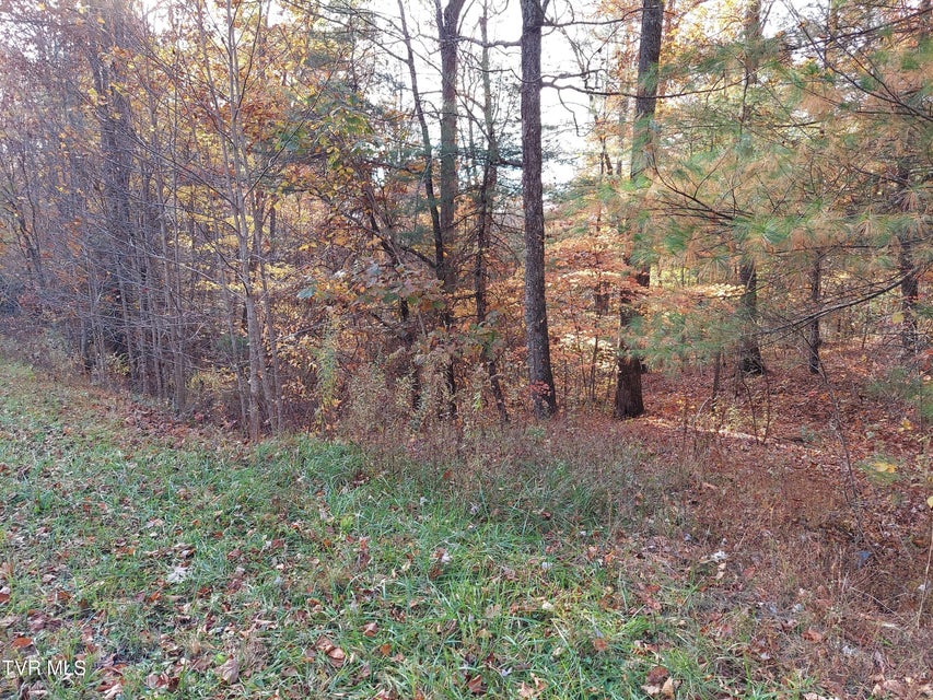 Photo #12: Lot 19 Sugar Maple Way