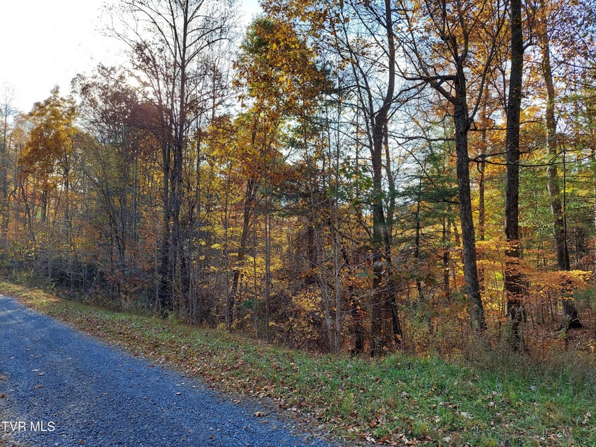 Photo #13: Lot 19 Sugar Maple Way