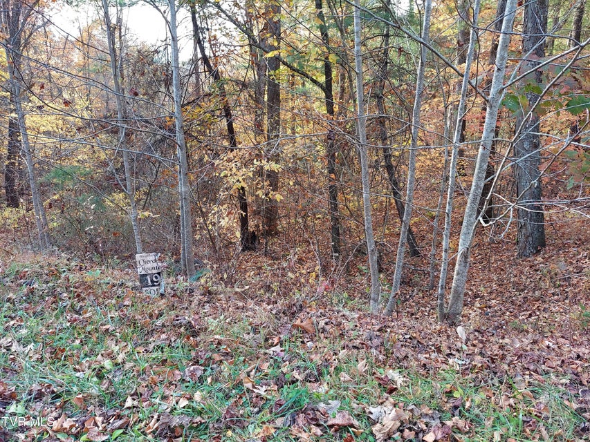 Photo #15: Lot 19 Sugar Maple Way