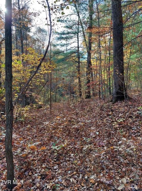 Photo #16: Lot 19 Sugar Maple Way