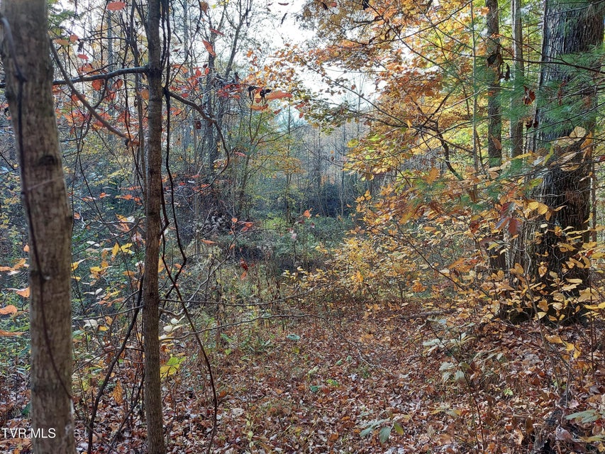 Photo #17: Lot 19 Sugar Maple Way