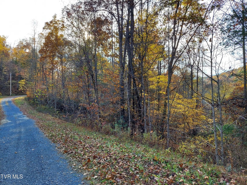 Photo #18: Lot 19 Sugar Maple Way