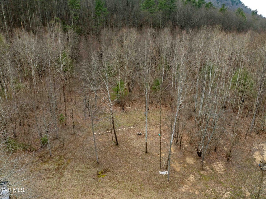 Photo #28: 9613 Roan Creek Road