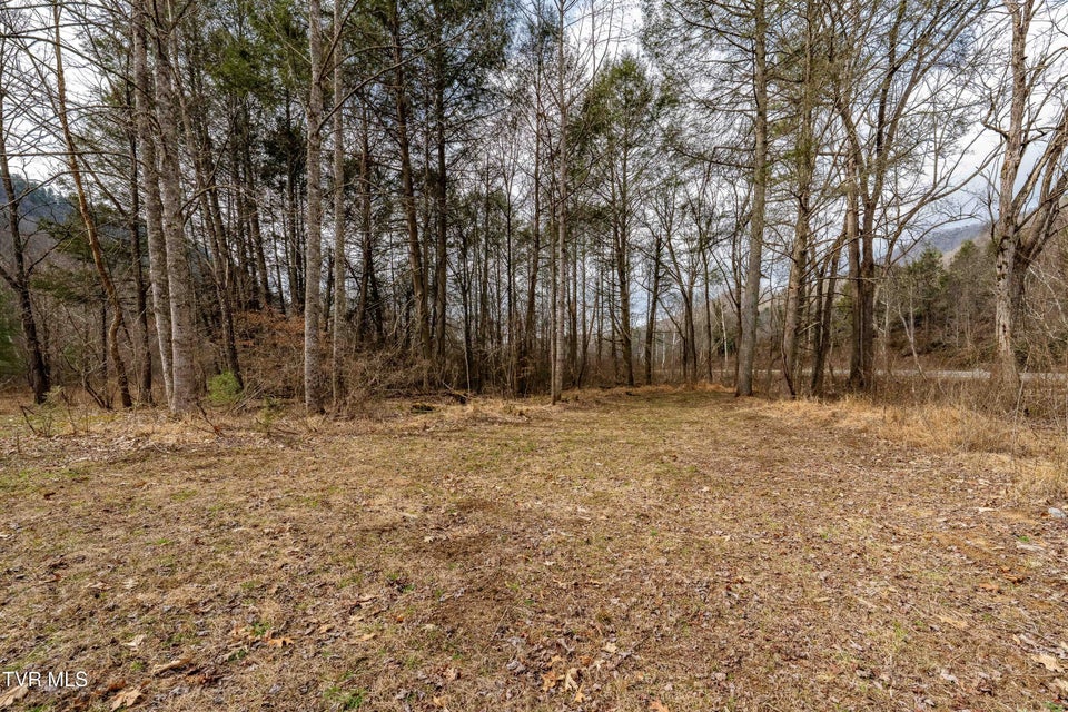 Photo #43: 9613 Roan Creek Road