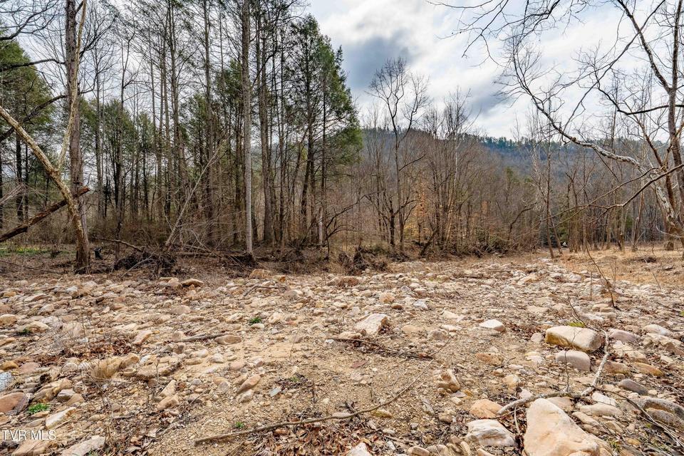 Photo #51: 9613 Roan Creek Road