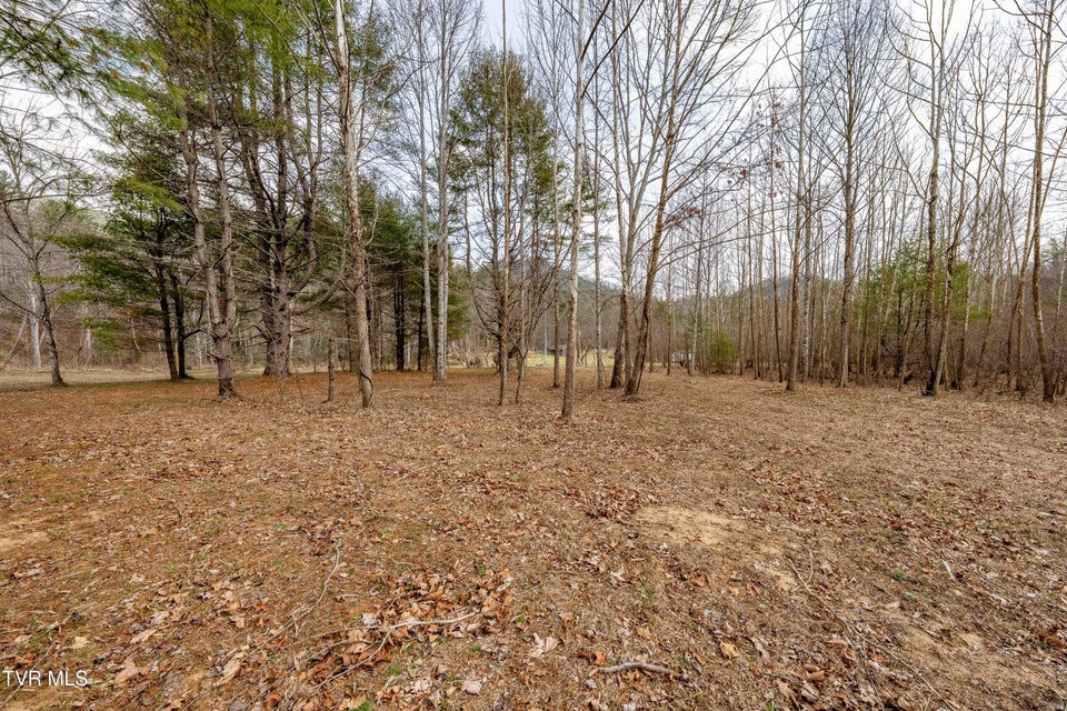 Photo #56: 9613 Roan Creek Road