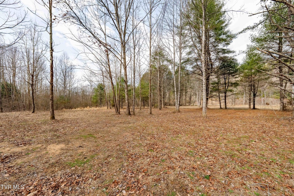 Photo #58: 9613 Roan Creek Road