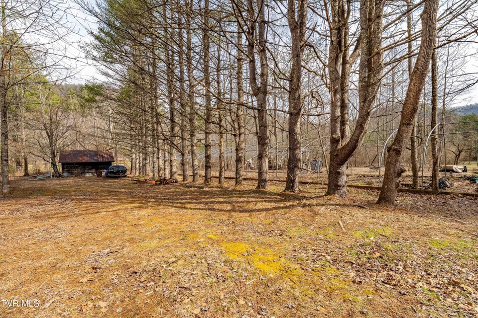 Photo #65: 9613 Roan Creek Road