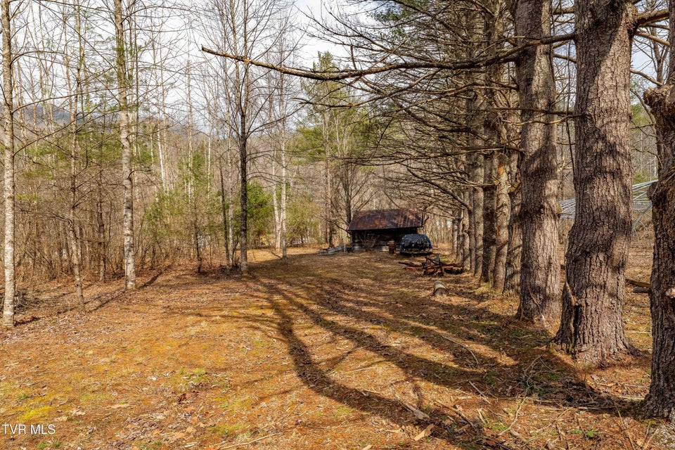 Photo #71: 9613 Roan Creek Road